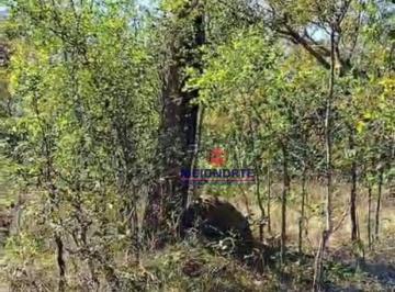 Imagem 1 · Fazenda