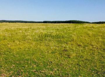 Imagem 1 · Fazenda