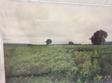 Imagem 1 · Fazenda