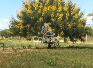 Imagem 1 · Fazenda
