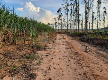 Imagem 1 · Fazenda para venda em Centro, Altinópolis
