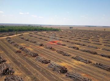 Imagem 1 · Fazenda