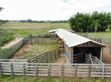 Imagem 1 · Fazenda