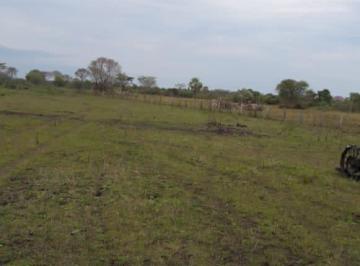 Imagem 1 · Fazenda