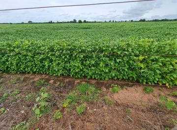 Imagem 1 · Fazenda