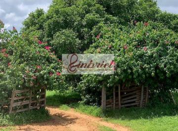 Imagem 1 · Fazenda