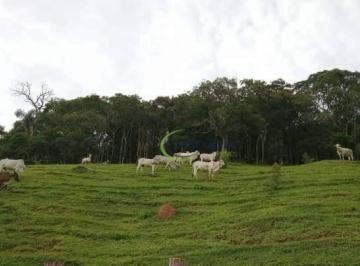 Imagem 1 · Fazenda para venda em Santo Antônio do Pinhal