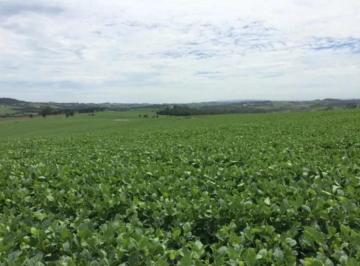 Imagem 1 · Fazenda