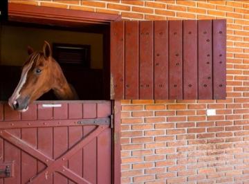 Imagem 1 · Fazenda