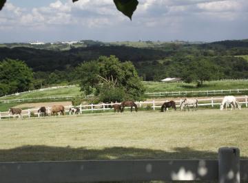Imagem 1 · Haras e Área Rural Padrão