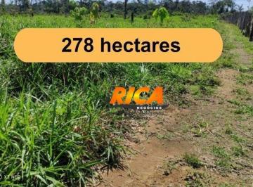 Imagem 1 · Fazenda