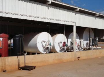 Imagem 1 · Fazenda