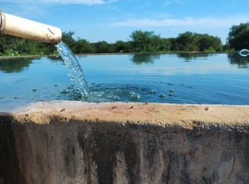 Imagem 1 · Fazenda