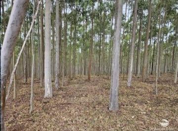 Imagem 1 · Fazenda para venda em Centro, São Vicente de Minas