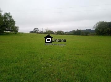 Imagem 1 · Fazenda
