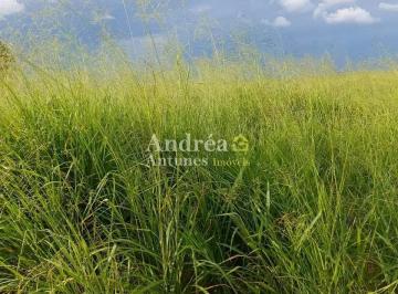 Imagem 1 · Fazenda