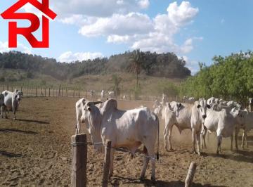 Imagem 1 · Fazenda