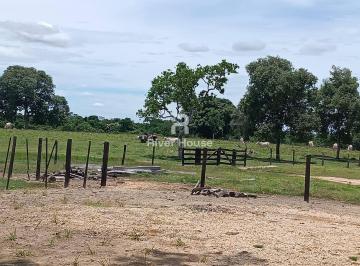 Imagem 1 · Fazenda
