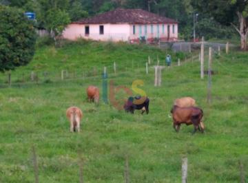 Imagem 1 · Fazenda para venda em Centro, Itajuípe