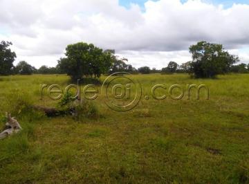 Imagem 1 · Fazenda