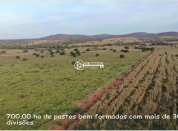 Imagem 1 · Fazenda