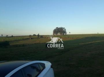 Imagem 1 · Fazenda