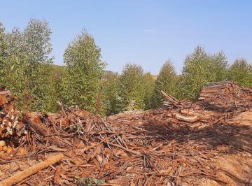 Imagem 1 · Fazenda