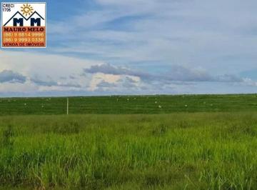 Imagem 1 · Fazenda