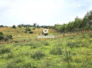 Imagem 1 · Fazenda