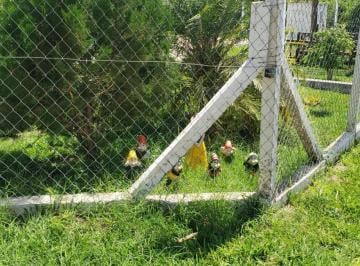 Imagem 1 · Chácara