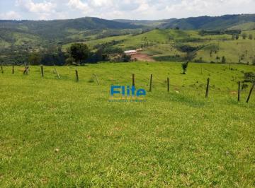 Imagem 1 · Fazenda