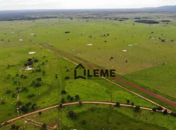 Imagem 1 · Fazenda