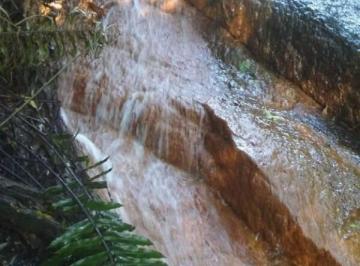 Imagem 1 · Fazenda