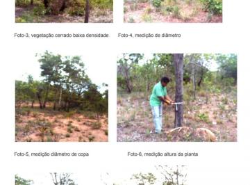 Imagem 1 · Fazenda