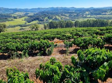 Imagem 1 · Fazenda