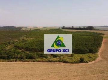 Imagem 1 · Fazenda