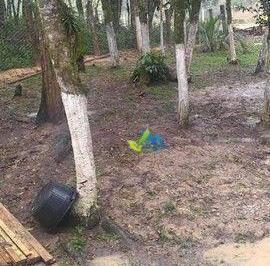 Imagem 1 · Chácara