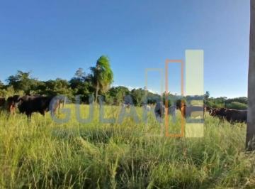 Imagem 1 · Fazenda