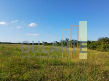 Imagem 1 · Fazenda para venda em Centro, Rio Pardo