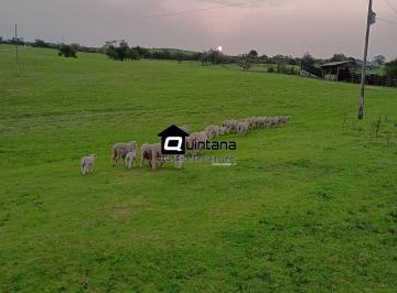 Imagem 1 · Fazenda