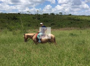 Imagem 1 · Fazenda
