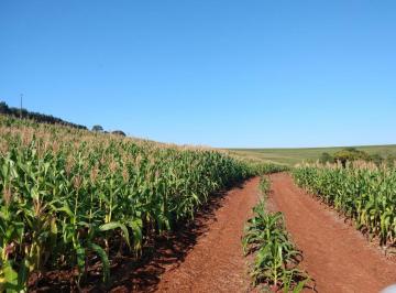 Imagem 1 · Fazenda