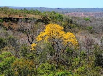 Imagem 1 · Fazenda