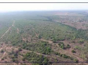 Imagem 1 · Fazenda