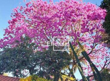 Imagem 1 · Chácara para venda em Estância Verão (Zona Rural), São José