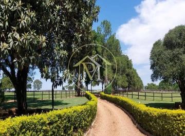 Imagem 1 · Fazenda