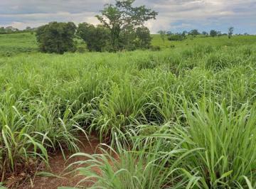 Imagem 1 · Fazenda