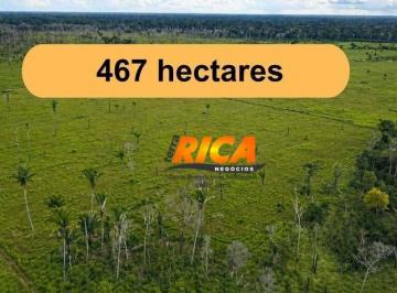 Imagem 1 · Fazenda