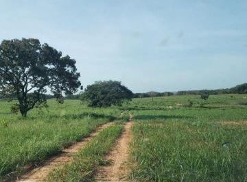 Imagem 1 · Fazenda