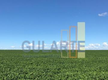 Imagem 1 · Fazenda